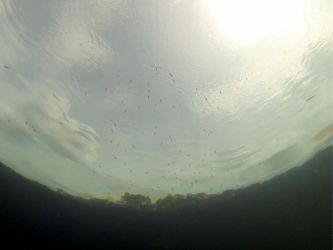 South Grasshopper Lake