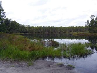 South Grasshopper Lake