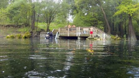 Troy Springs