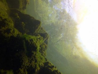 Troy Springs