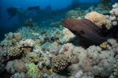 Hurghada - Abu Ramada South 1875627