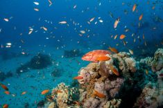 Hurghada - Abu Ramada South 1875627