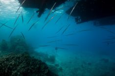 Hurghada - Abu Ramada South 1875627