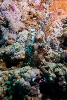 Hurghada - Gota Abu Ramada - East 1875629