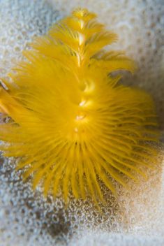 Hurghada - Gota Abu Ramada - East 1875629