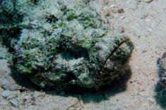 Hurghada - El Erouk Maksour 1875632