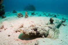 Hurghada - Abu Ramada Drift 1875639