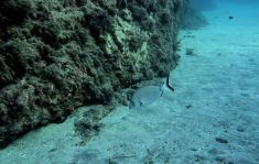 3052009