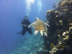 496277