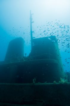 4126995
