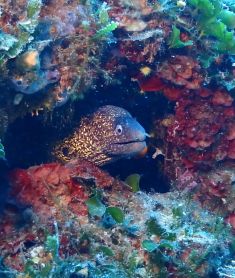 3871273