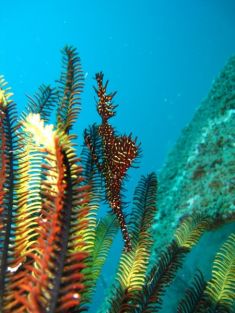 352220
