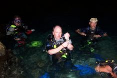 2648162
