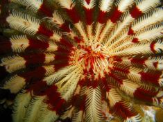 45864