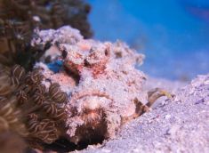 612255