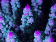 719222