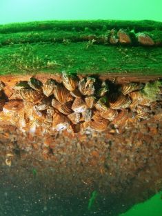 177179