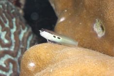 285907