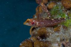 489535