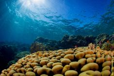 740757