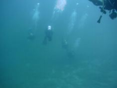 1882784