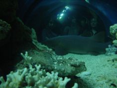 293513