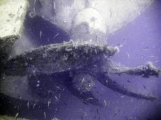 721315