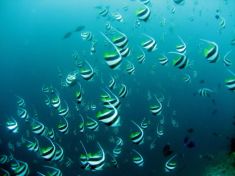 149894