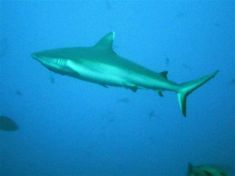 195581