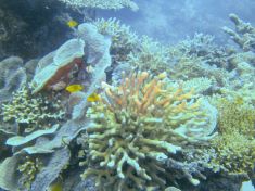 1674351