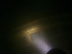 120619